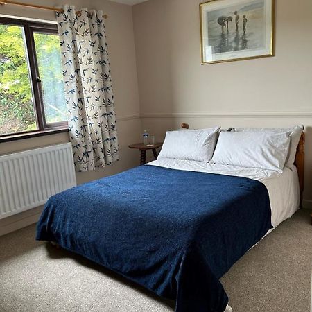 Long View Guest Accommodation Downpatrick Kültér fotó